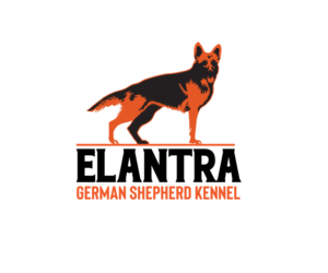 Logo Design by ERICK ANDRE VOORNEMAN for this project | Design #26660422