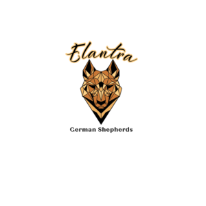 Logo Design by borzoid for this project | Design: #26638745