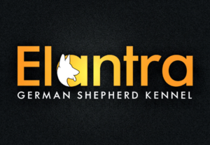 Logo Design by MH@Designer for this project | Design: #26644324
