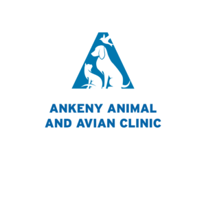 Logo-Design von borzoid für dieses Projekt | Design: #26648054
