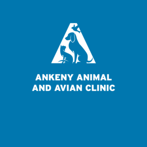 Logo-Design von borzoid für dieses Projekt | Design: #26648055