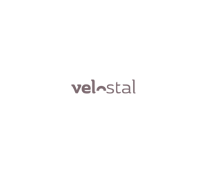 Velostal | Logo Design by Neil
