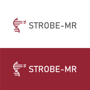 Logo Design by Abdulmumin Imam