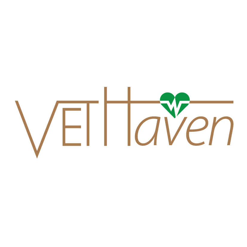 Logo Design by anfilong for VETHaven Management Partners Ltd. | Design #26702174