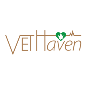 Logo Design by anfilong for VETHaven Management Partners Ltd. | Design: #26702848