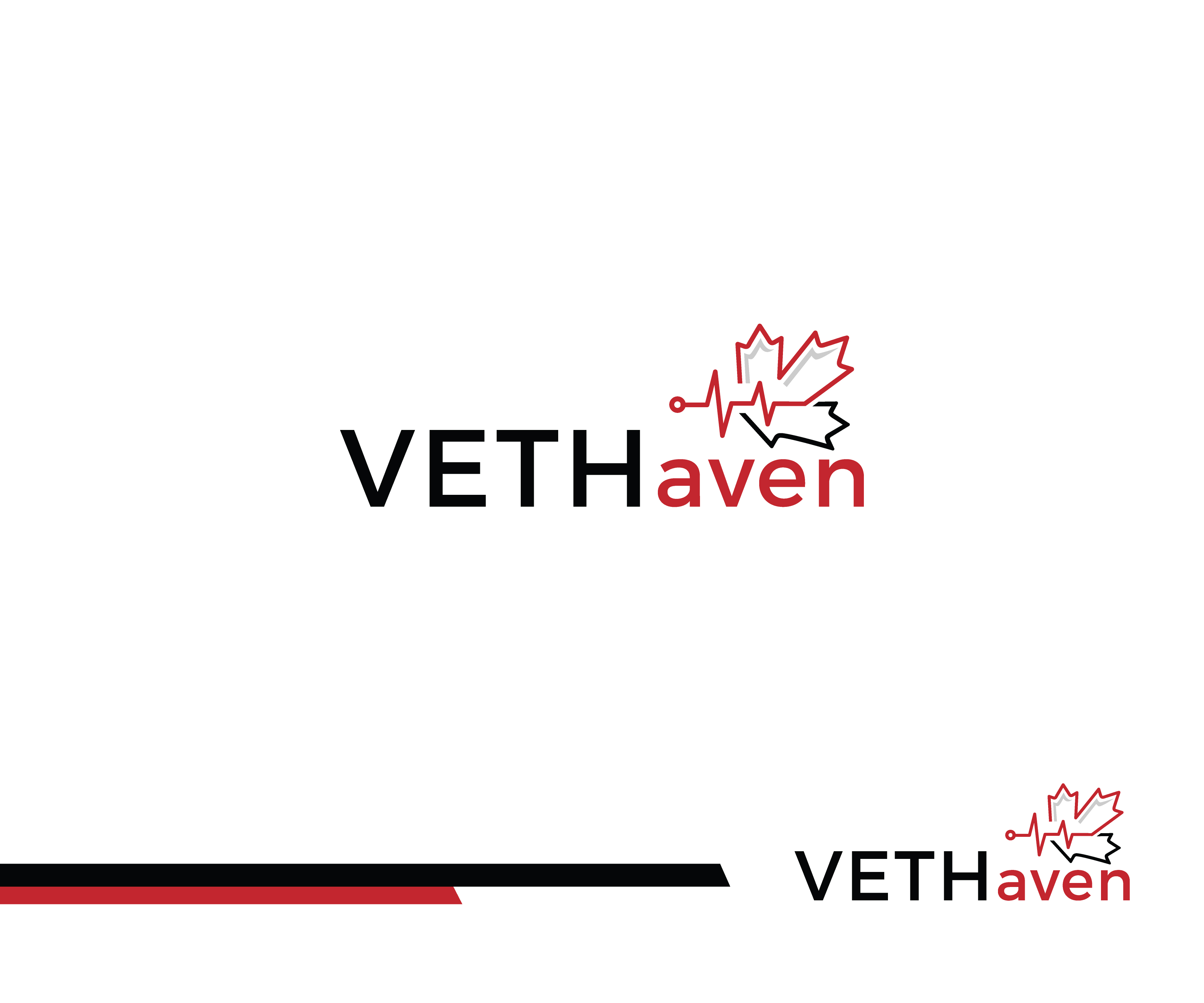 Logo Design by Fat Bat Man for VETHaven Management Partners Ltd. | Design #26683604