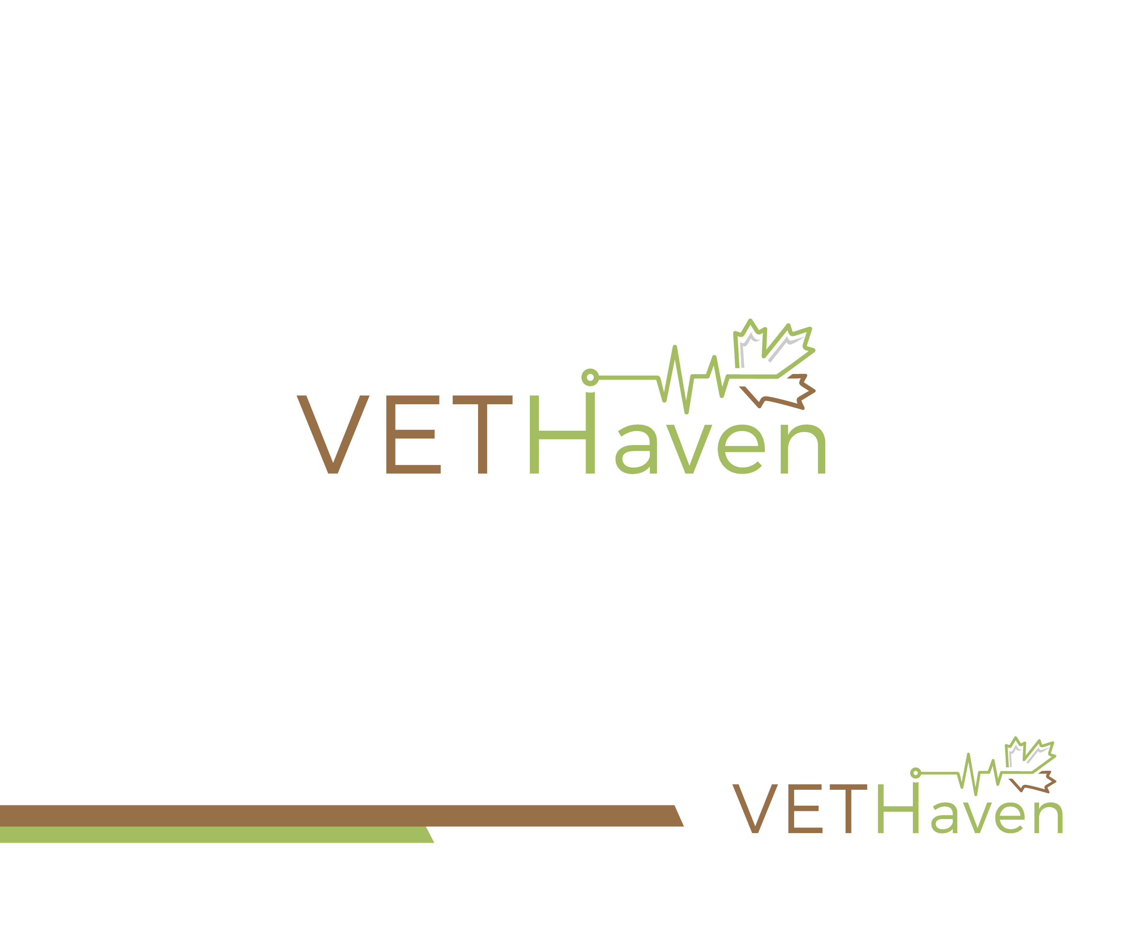 Logo Design by Fat Bat Man for VETHaven Management Partners Ltd. | Design #26698498
