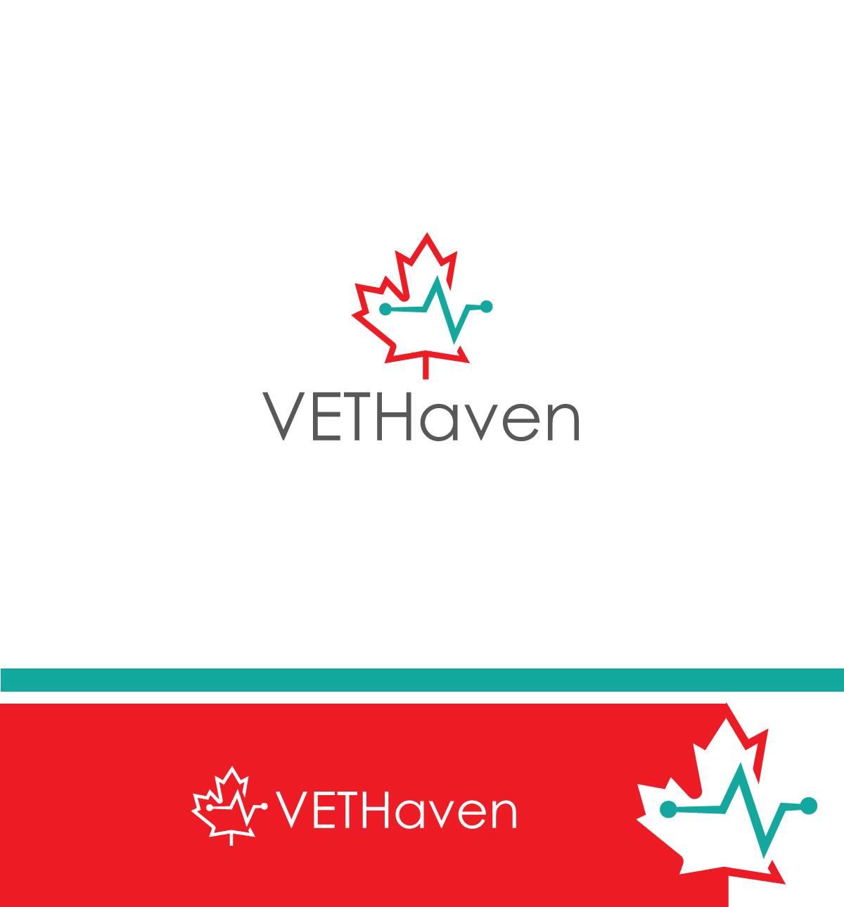 Logo Design by ecorokerz for VETHaven Management Partners Ltd. | Design #26667108