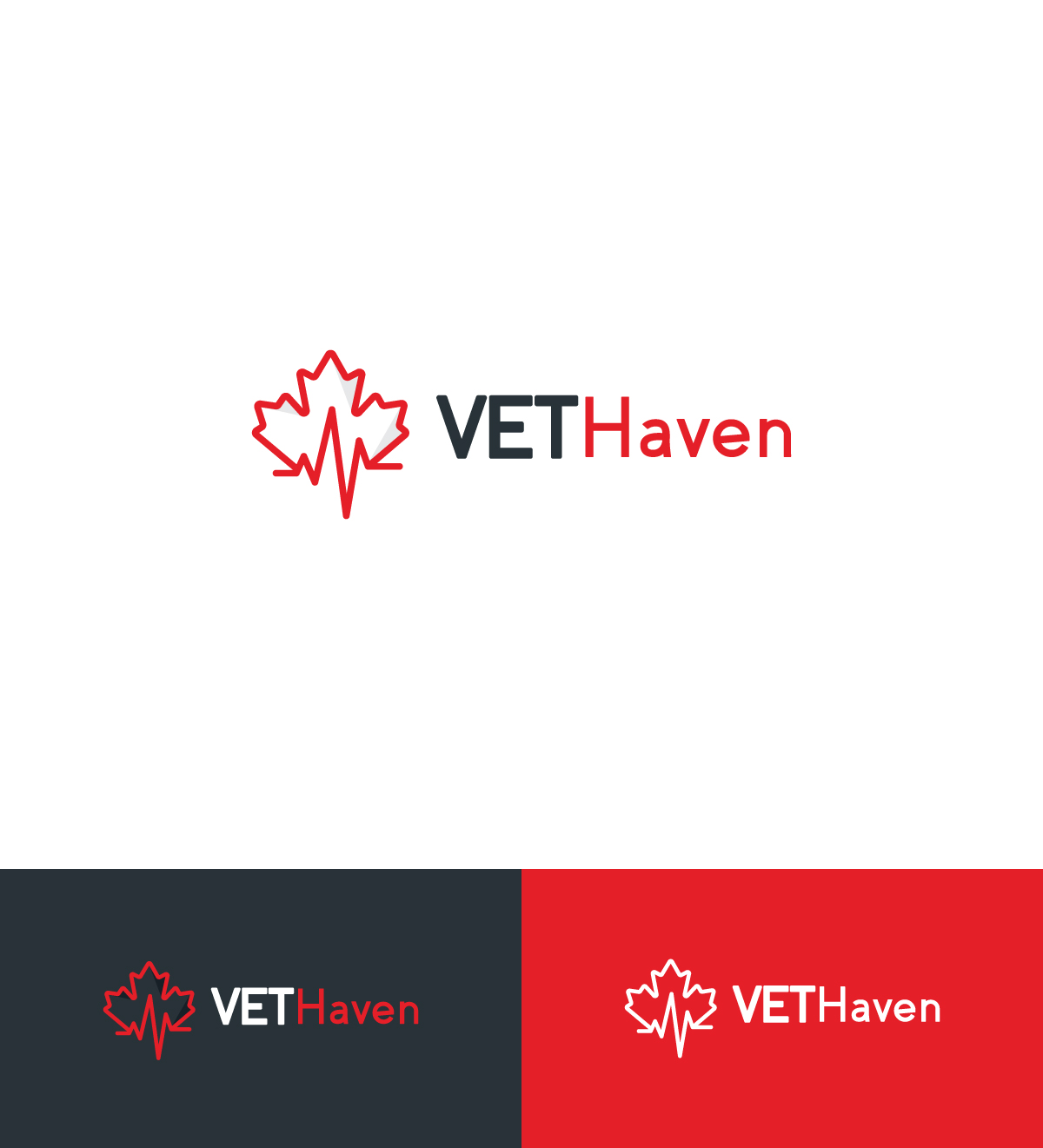 Logo Design by ecorokerz for VETHaven Management Partners Ltd. | Design #26667999