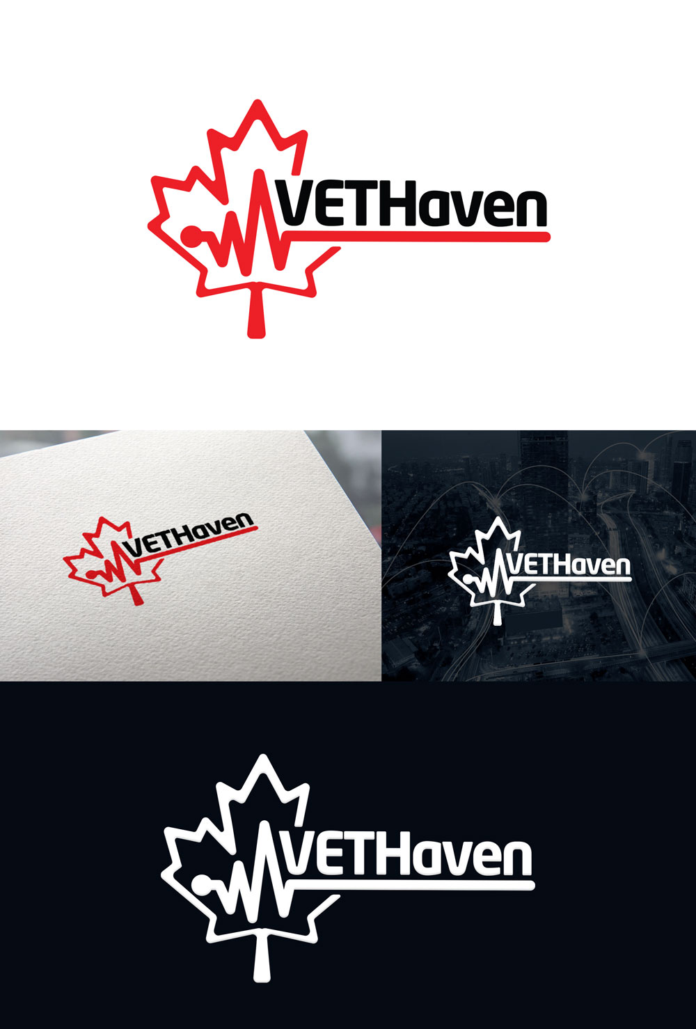 Logo Design by Th3o for VETHaven Management Partners Ltd. | Design #26666637