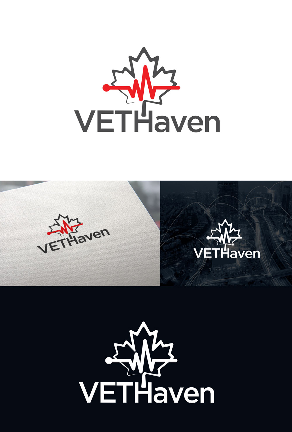 Logo Design by Th3o for VETHaven Management Partners Ltd. | Design #26666638