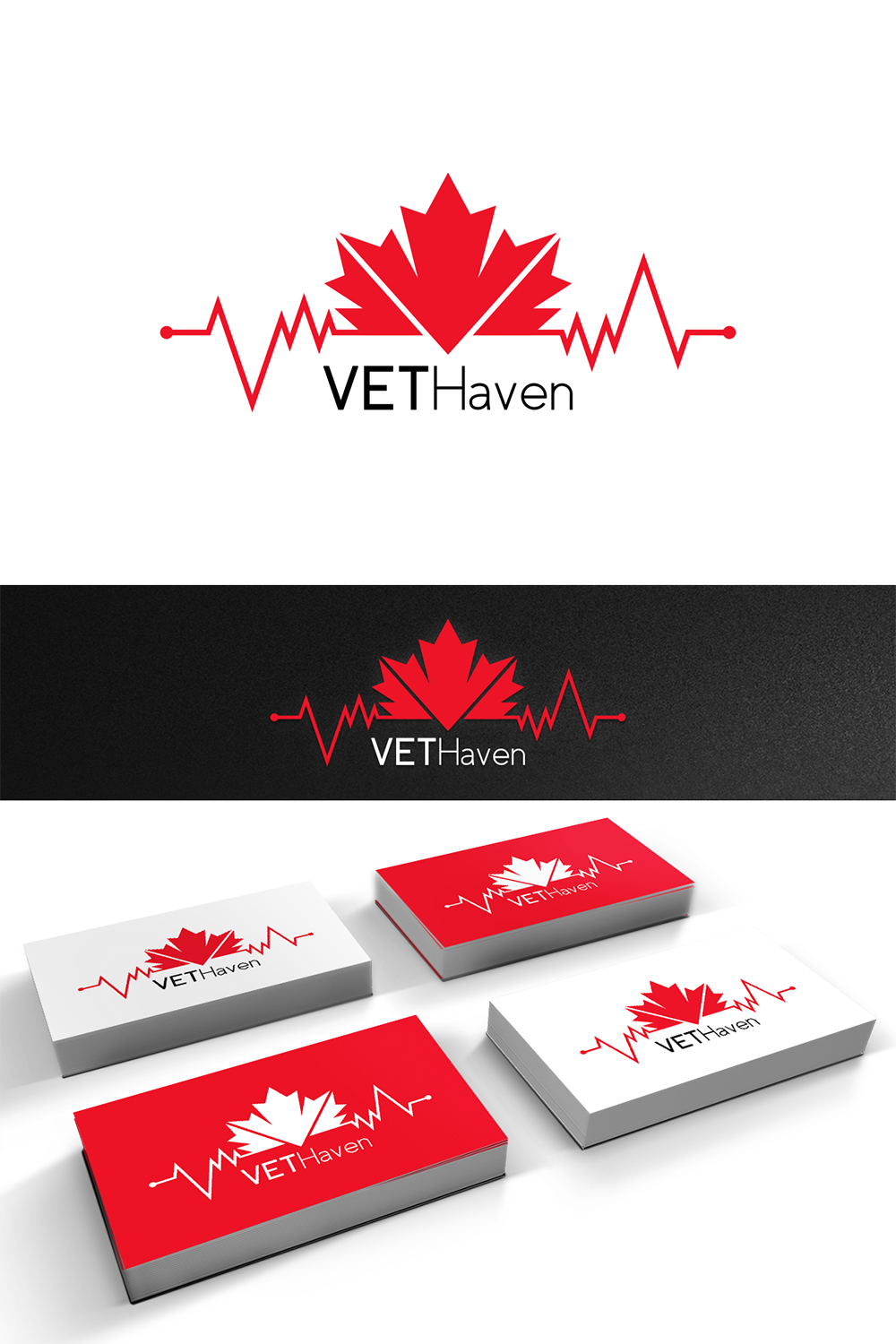 Logo Design by D.an for VETHaven Management Partners Ltd. | Design #26681493