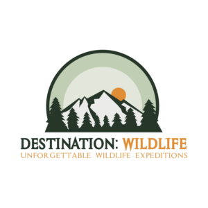 Logo Design by Taufik Design