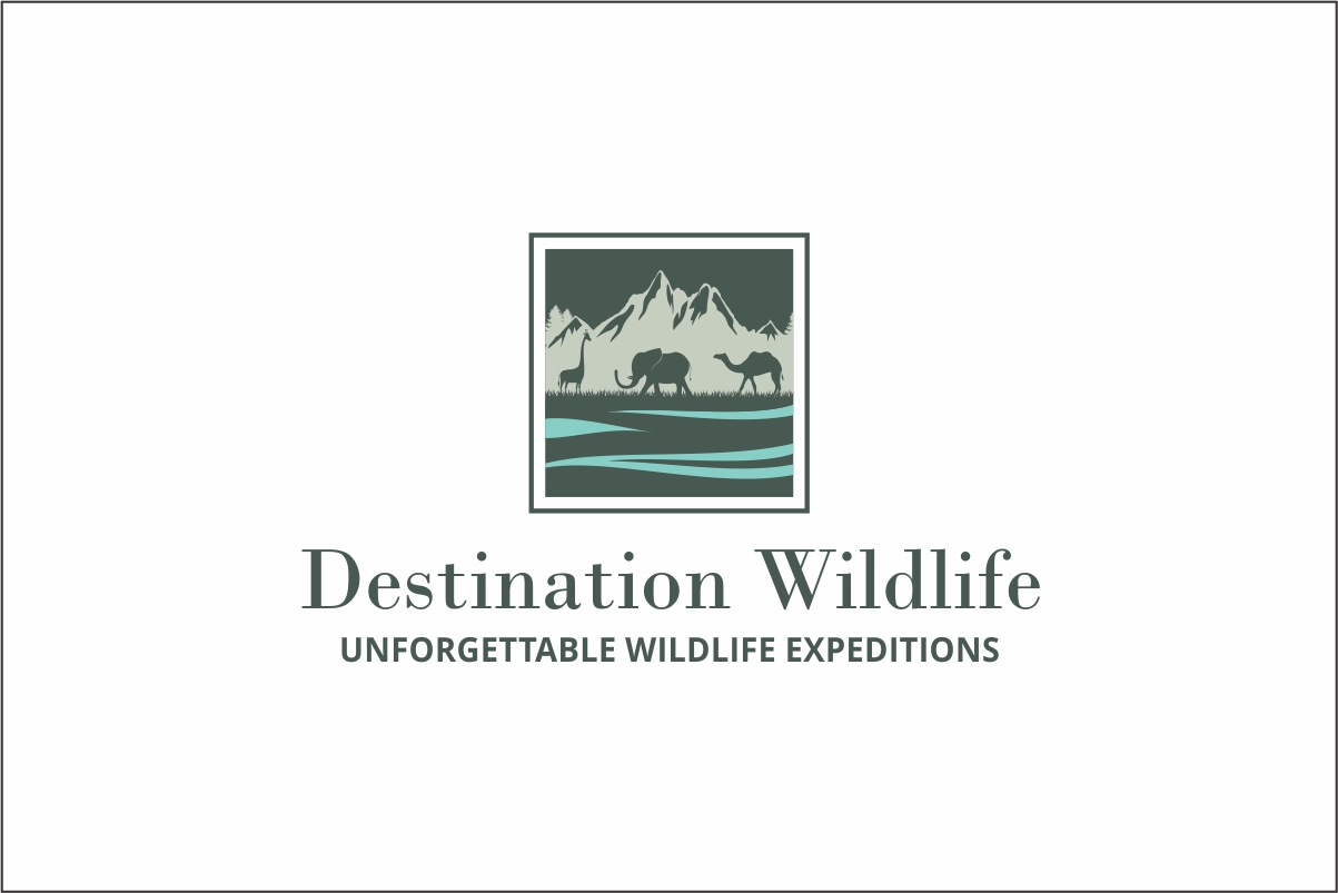 Logo-Design von Robert Macwan für Berman Consulting Services, LLC | Design #26669245
