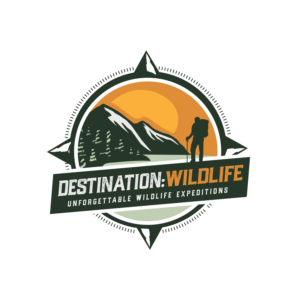 The name is -> "Destination: Wildlife"  and the tagline is -> "Unforgettable Wildlife Expeditions" | Logo Design by charlygraphics