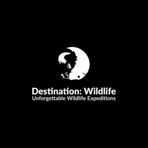 The name is -> "Destination: Wildlife"  and the tagline is -> "Unforgettable Wildlife Expeditions" | Diseño de Logo por DesignFirst
