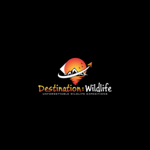 Logo Design by I designs for Berman Consulting Services, LLC | Design #26663837