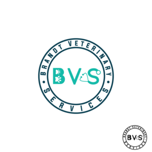 Diseño de Logo por fly  design para este proyecto | Diseño: #26668214