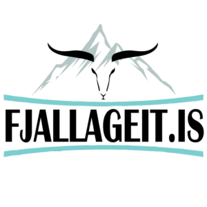 Logo-Design von eMythMakers.com für ECO Rafbílar | Design: #26687292