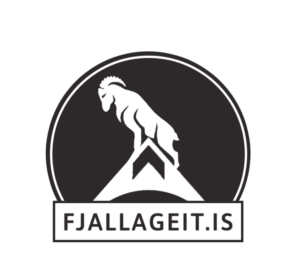 Logo Design by Brijendra Pal