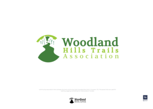 Logo Design by DiMartero