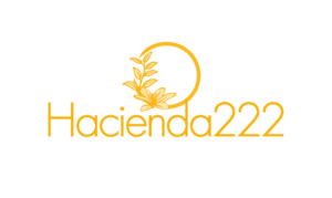 Logo Design by patriciaparadesign for Puerto Rico Destination Weddings | Design: #26714833