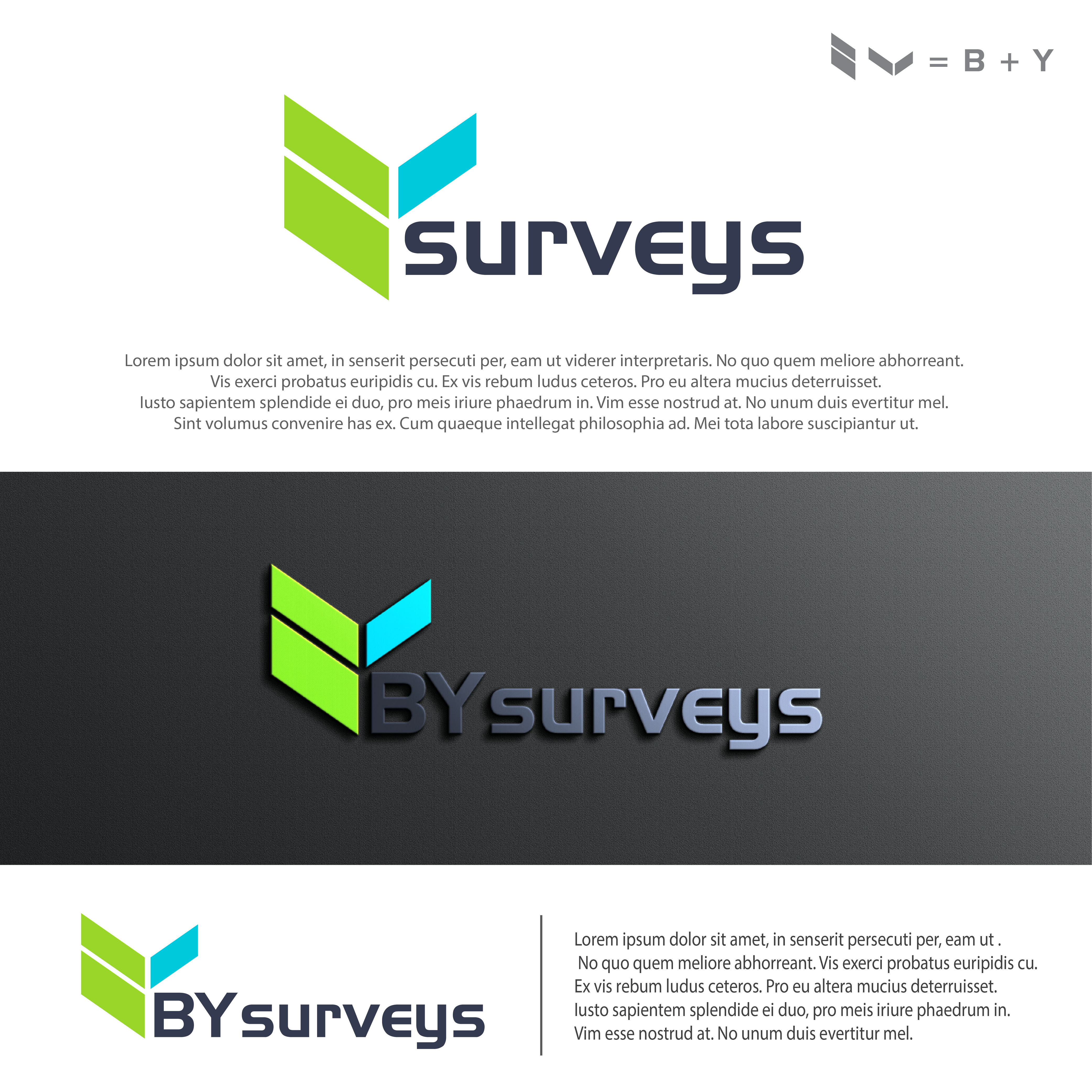 Logo Design by farady for B Y SURVEYS AND SITE ENGINEERING LTD | Design #26682822