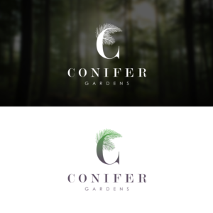 Design Image