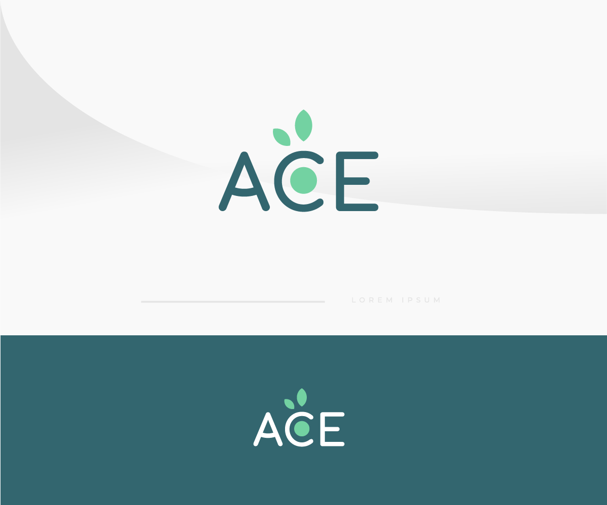 Logo-Design von Ng V Duc für dieses Projekt | Design #26697916