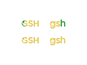 GSH | Logo Design by Atvento Graphics