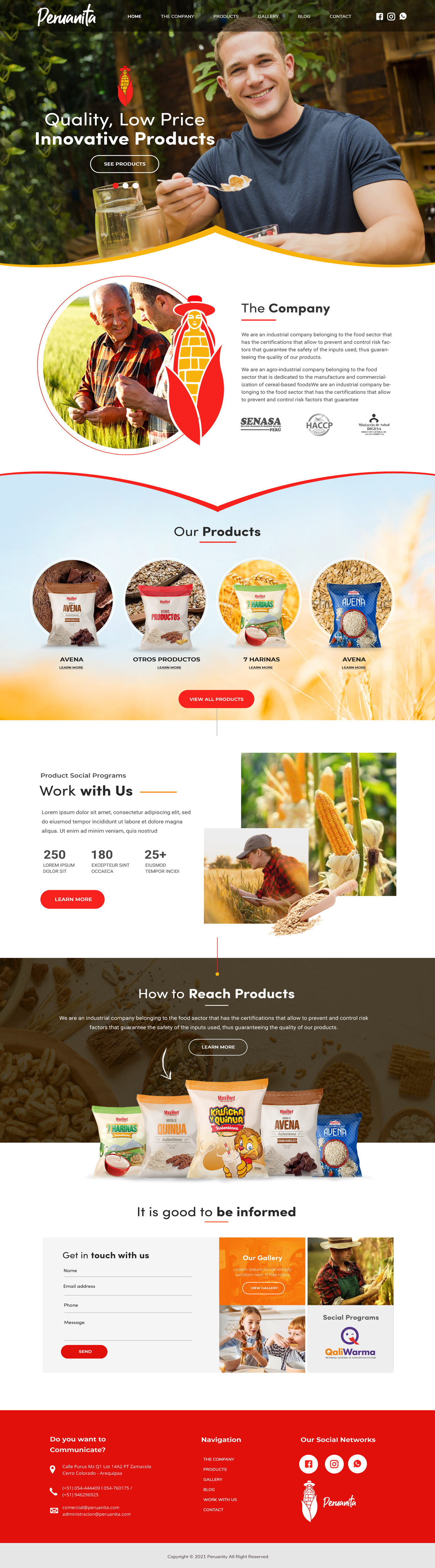 Web Design by Blue Sparrow for Peruanita Eirl | Design #26707095