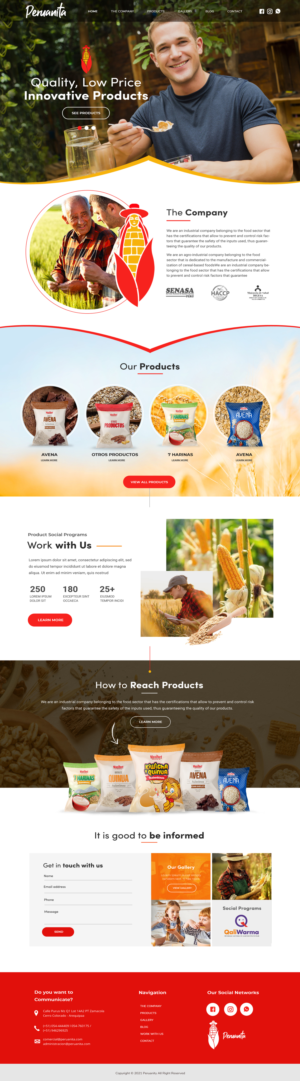 Web Design by Blue Sparrow for Peruanita Eirl | Design: #26707095
