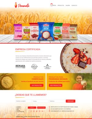 Web Design by Chinmayees for Peruanita Eirl | Design: #26867276