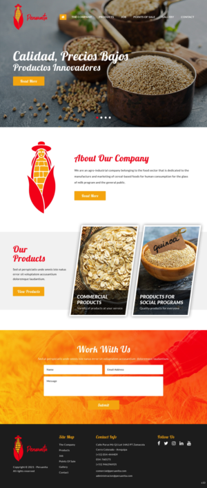 Web Design by pb for Peruanita Eirl | Design: #26695639
