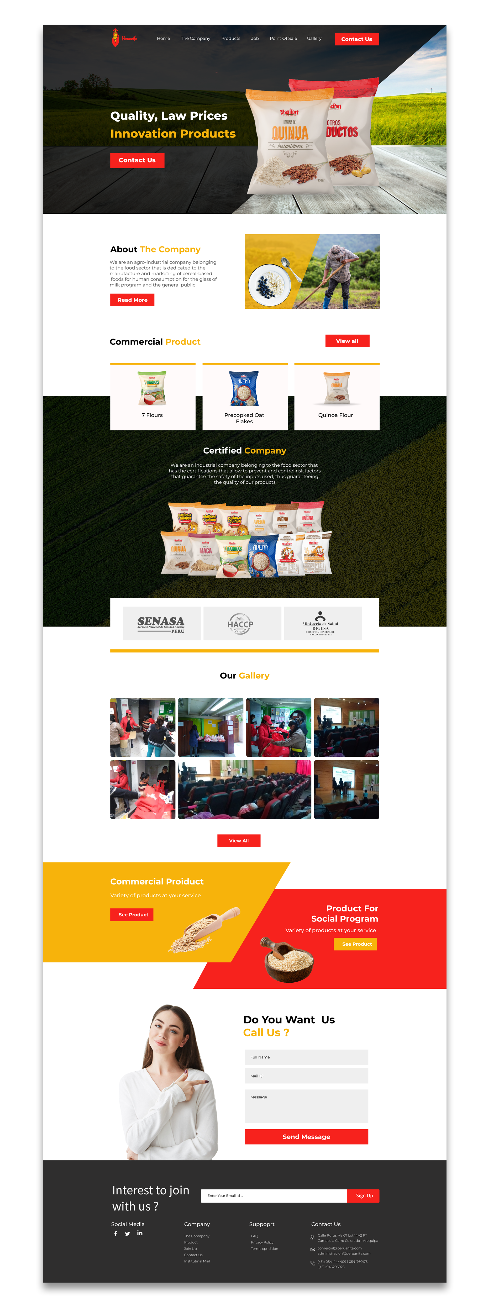 Web-Design von lemosys infotech für Peruanita Eirl | Design #26693579