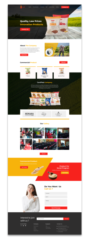 Web Design by lemosys infotech for Peruanita Eirl | Design #26693579