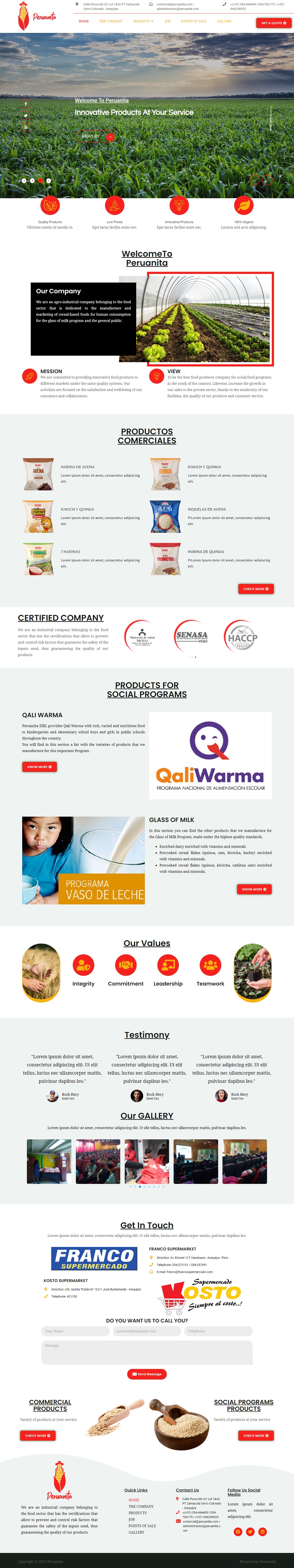 Diseño Web por JohnDigiTech para Peruanita Eirl | Diseño #26821024