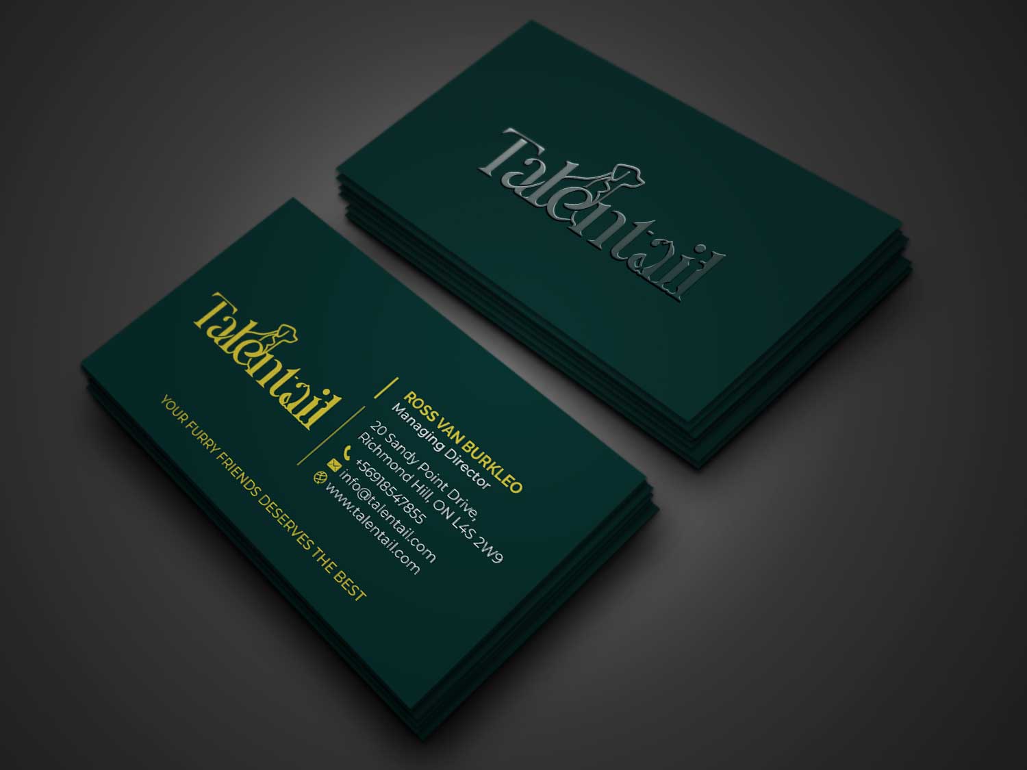 Design de Carte de Visite par R.design pour Australia Talentail Pty Ltd | Design #26711597