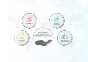 Graphic Design by Mozaik Arte for this project | Design: #26820299