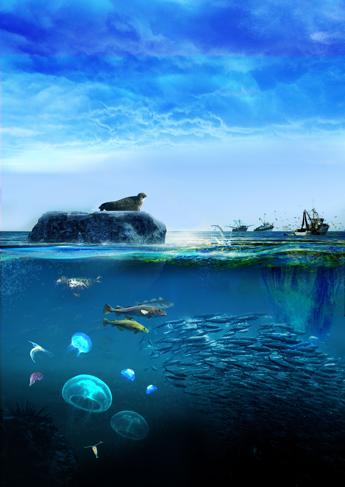 Illustration Design by Sarina.dsg for this project | Design #26734322