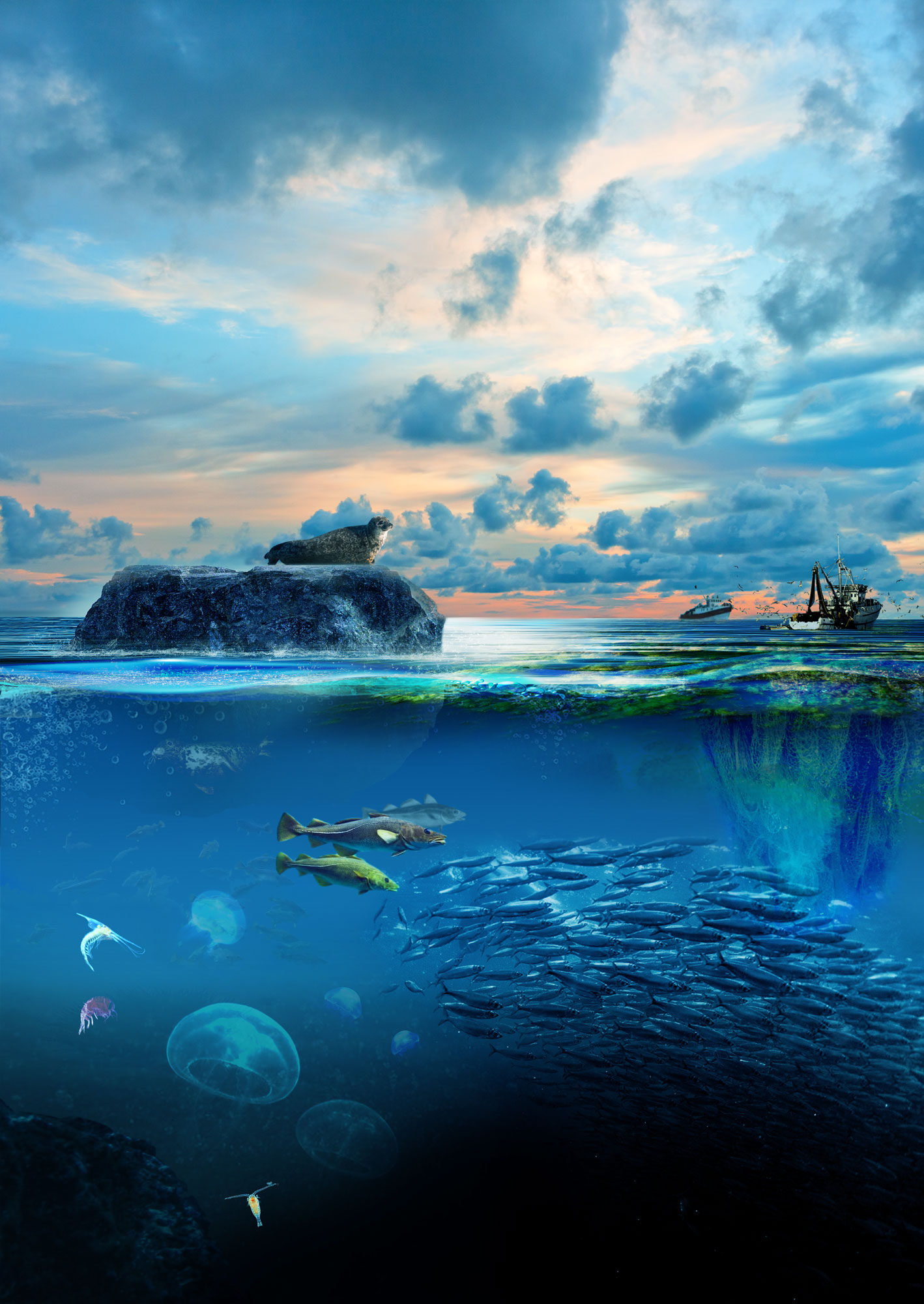 Illustration Design by Sarina.dsg for this project | Design #26815072