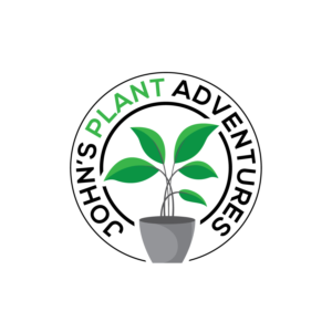 Logo Design by geni for this project | Design #26746596