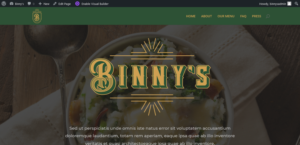 Web Design by Mindnovae