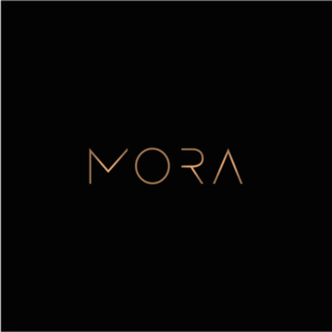 Design de Logo par Limitless¤ pour ce projet | Design : #26736954