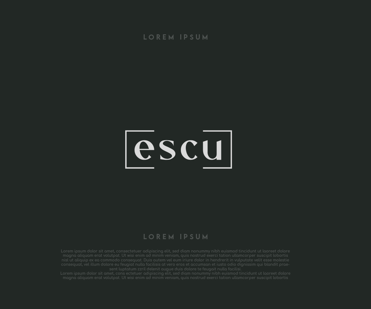 Logo Design by Ng V Duc for this project | Design #26765709