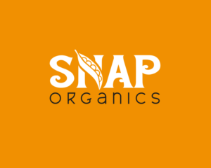 Logo Design by Petrol Design