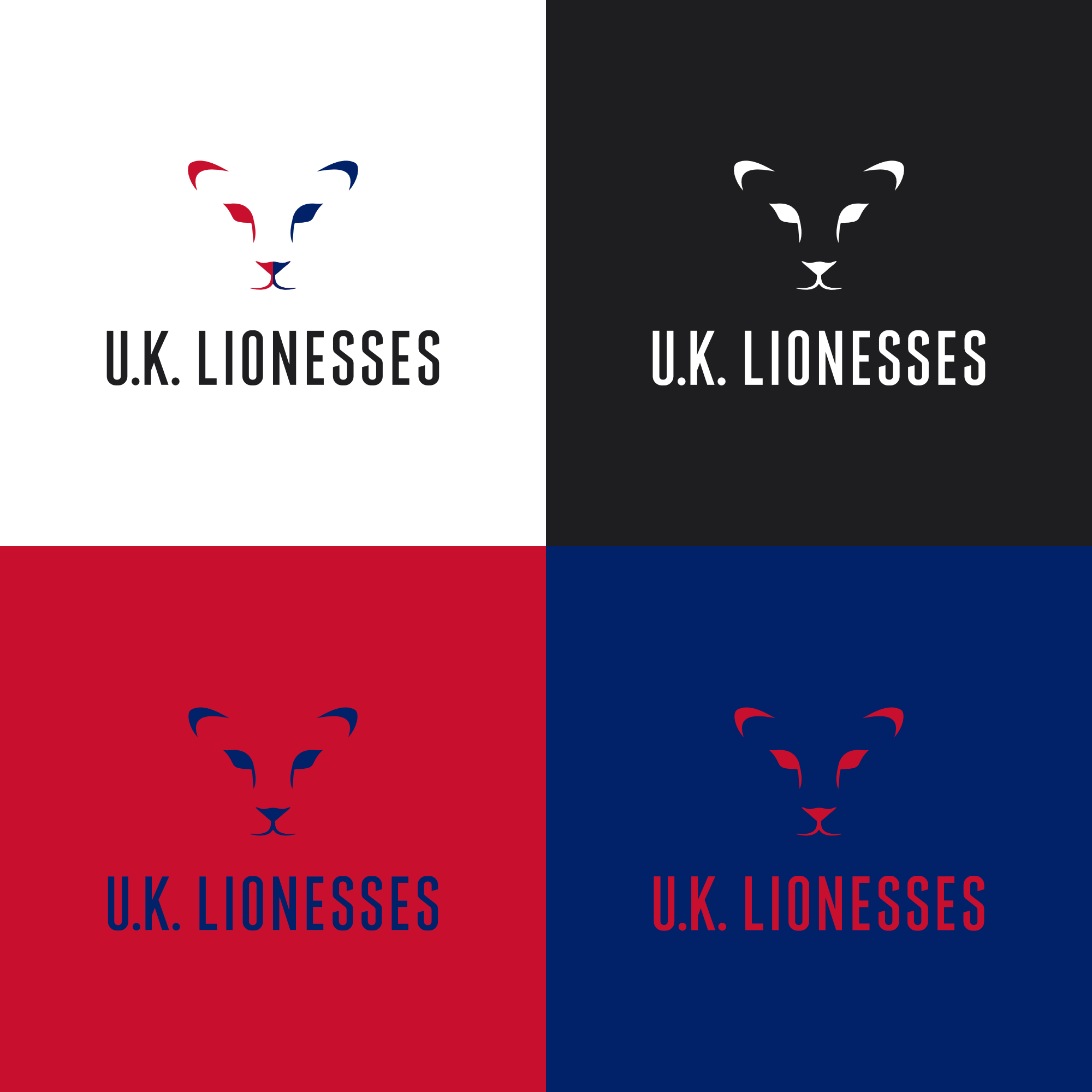 Diseño de Logo por EspadaDesign para este proyecto | Diseño #26736575