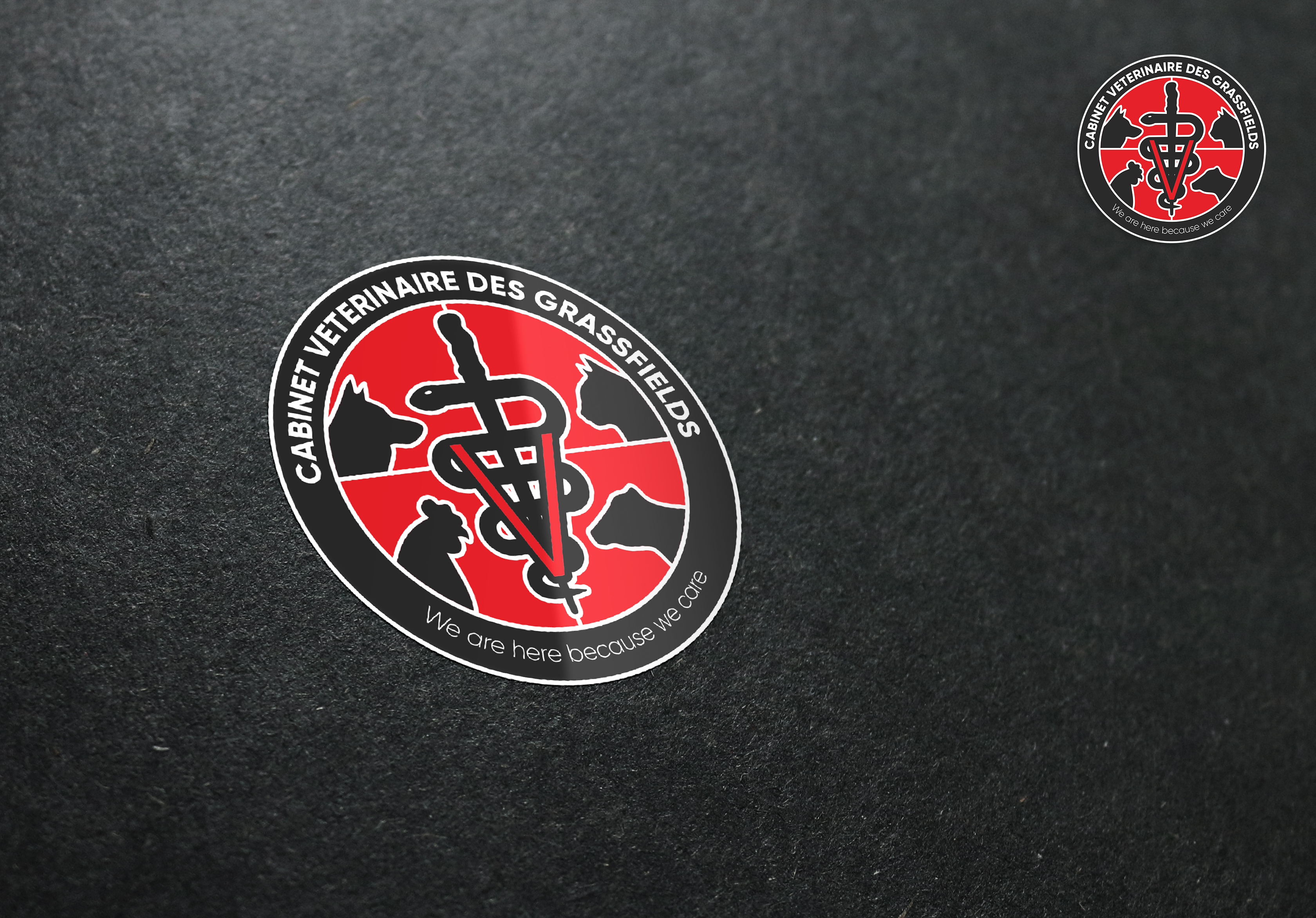 Design de Logo par aquabomb26 pour ce projet | Design #26744189