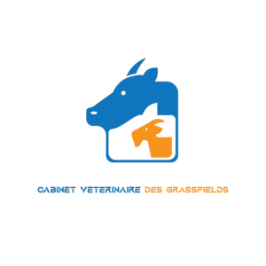 Logo Design by ahmed-shafaqat