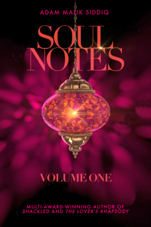 Book Cover Design by Waynster ZA